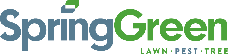 Spring Green Logo